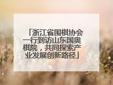 浙江省围棋协会一行到访山东国奥棋院，共同探索产业发展创新路径