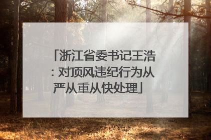 浙江省委书记王浩：对顶风违纪行为从严从重从快处理