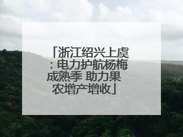 浙江绍兴上虞：电力护航杨梅成熟季 助力果农增产增收
