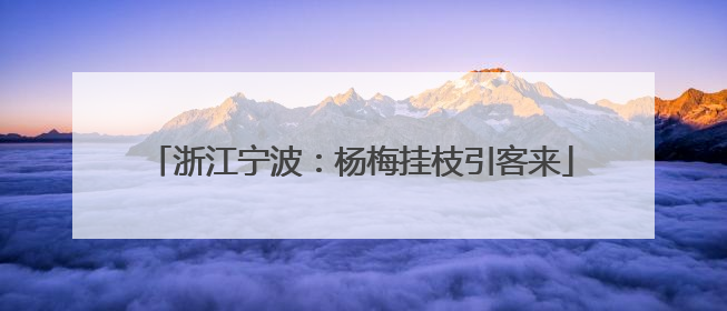 浙江宁波：杨梅挂枝引客来