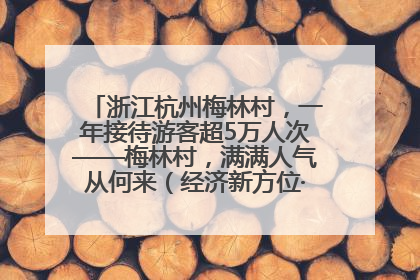 浙江杭州梅林村，一年接待游客超5万人次——梅林村，满满人气从何来（经济新方位·农村消费观察）