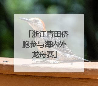 浙江青田侨胞参与海内外龙舟赛