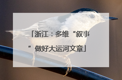 浙江：多维“叙事”做好大运河文章