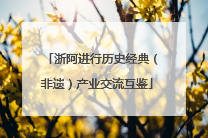 浙阿进行历史经典（非遗）产业交流互鉴