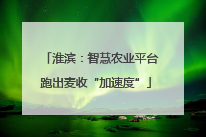 淮滨：智慧农业平台跑出麦收“加速度”