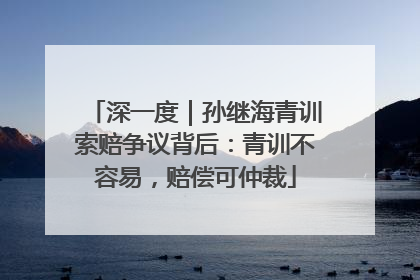 深一度｜孙继海青训索赔争议背后：青训不容易，赔偿可仲裁