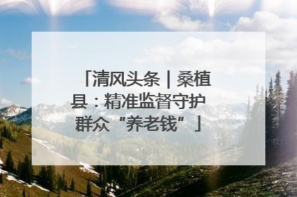 清风头条｜桑植县：精准监督守护群众“养老钱”