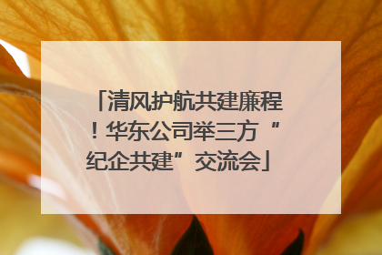 清风护航共建廉程！华东公司举三方“纪企共建”交流会