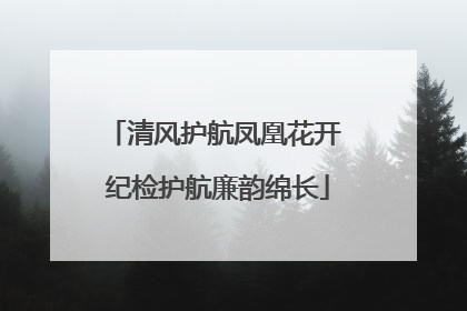 清风护航凤凰花开 纪检护航廉韵绵长