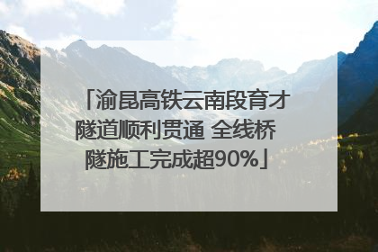 渝昆高铁云南段育才隧道顺利贯通 全线桥隧施工完成超90%