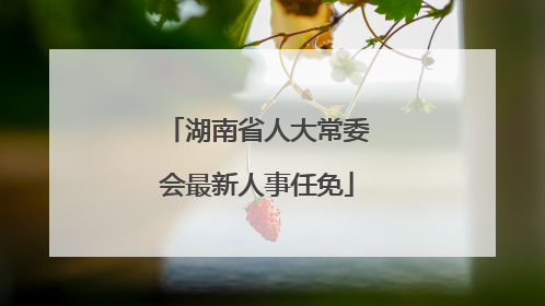 湖南省人大常委会最新人事任免