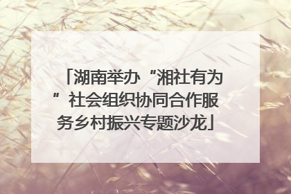 湖南举办“湘社有为”社会组织协同合作服务乡村振兴专题沙龙