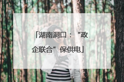 湖南洞口：“政企联合”保供电