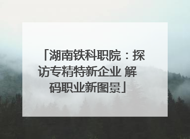 湖南铁科职院：探访专精特新企业 解码职业新图景