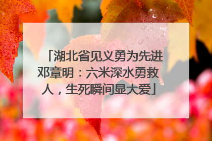 湖北省见义勇为先进邓章明：六米深水勇救人，生死瞬间显大爱