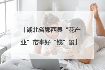 湖北省郧西县“花产业”带来好“钱”景