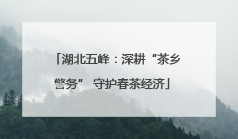 湖北五峰：深耕“茶乡警务” 守护春茶经济