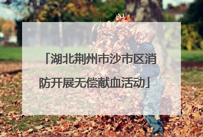 湖北荆州市沙市区消防开展无偿献血活动