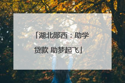 湖北郧西：助学贷款 助梦起飞