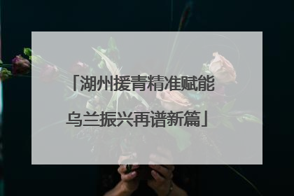 湖州援青精准赋能 乌兰振兴再谱新篇