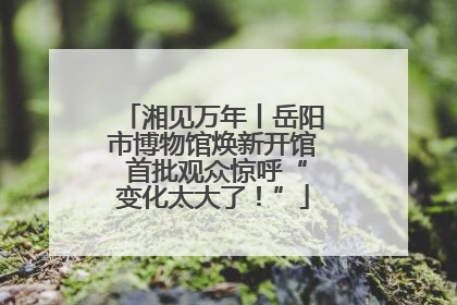 湘见万年丨岳阳市博物馆焕新开馆 首批观众惊呼“变化太大了！”