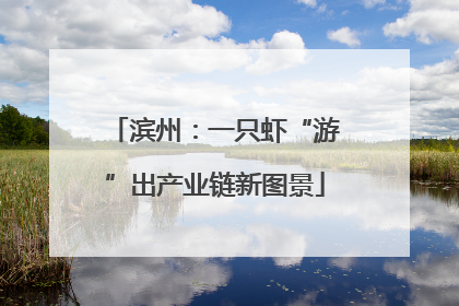 滨州：一只虾“游”出产业链新图景