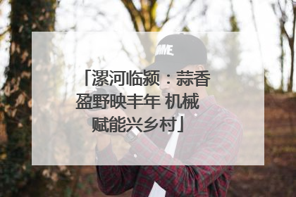 漯河临颍：蒜香盈野映丰年 机械赋能兴乡村