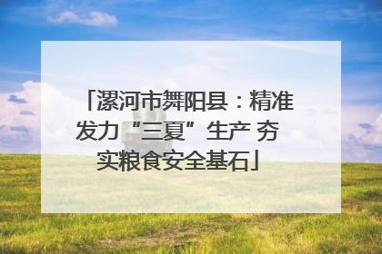 漯河市舞阳县：精准发力“三夏”生产 夯实粮食安全基石