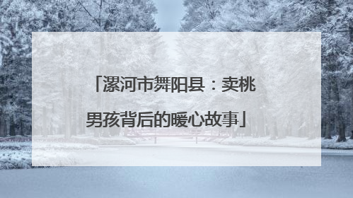 漯河市舞阳县：卖桃男孩背后的暖心故事