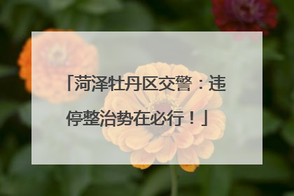 菏泽牡丹区交警：违停整治势在必行！
