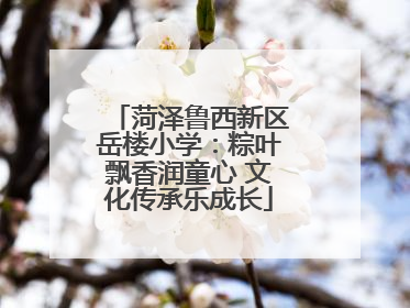 菏泽鲁西新区岳楼小学：粽叶飘香润童心 文化传承乐成长