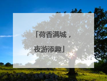 荷香满城，夜游添趣