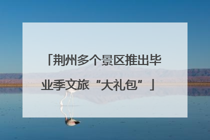 荆州多个景区推出毕业季文旅“大礼包”
