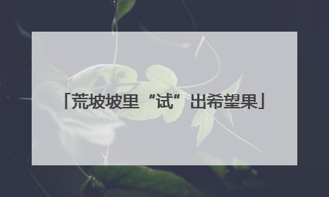 荒坡坡里“试”出希望果