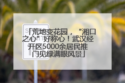 荒地变花园，“湘口之心”好称心！武汉经开区5000余居民推门见绿满眼风景