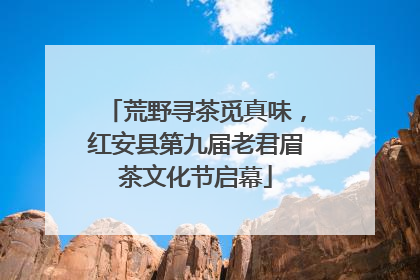 荒野寻茶觅真味，红安县第九届老君眉茶文化节启幕