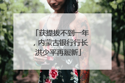 获提拔不到一年，内蒙古银行行长洪少平再履新