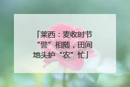 莱西：麦收时节“警”相随，田间地头护“农”忙