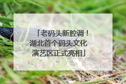 老码头新腔调！湖北首个码头文化演艺区正式亮相
