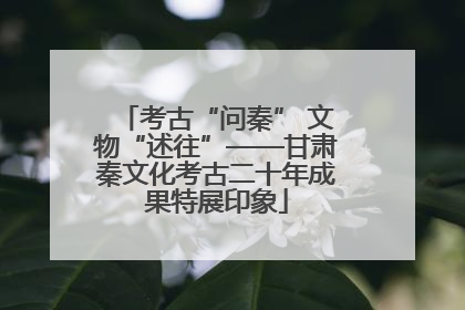 考古“问秦” 文物“述往”——甘肃秦文化考古二十年成果特展印象