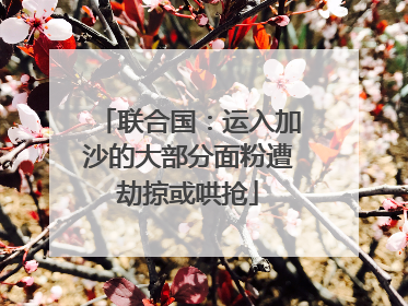 联合国：运入加沙的大部分面粉遭劫掠或哄抢