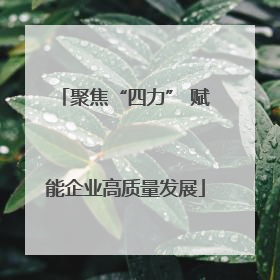 聚焦“四力” 赋能企业高质量发展