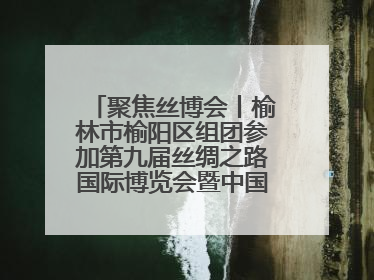 聚焦丝博会丨榆林市榆阳区组团参加第九届丝绸之路国际博览会暨中国东西部合作与投资贸易洽谈会