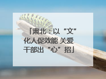 肃北：以“文”化人促效能 关爱干部出“心”招