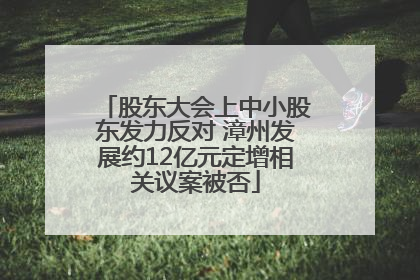 股东大会上中小股东发力反对 漳州发展约12亿元定增相关议案被否
