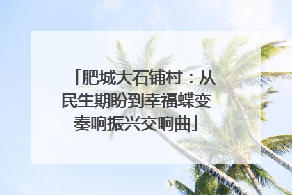 肥城大石铺村：从民生期盼到幸福蝶变奏响振兴交响曲