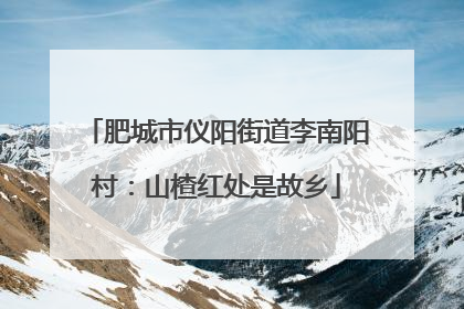 肥城市仪阳街道李南阳村：山楂红处是故乡