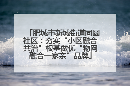 肥城市新城街道同圆社区：夯实“小区融合共治”根基做优“物网融合一家亲”品牌