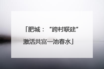 肥城：“跨村联建”激活共富一池春水