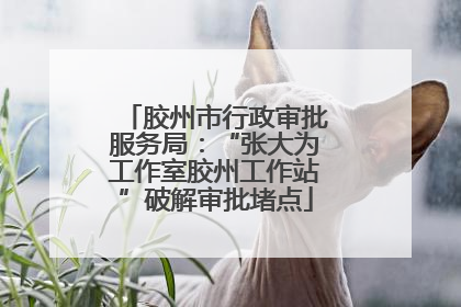 胶州市行政审批服务局：“张大为工作室胶州工作站”破解审批堵点